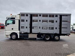 MAN TGX 26.480 6x2*4 - Menke 3 deck livestock 50.40...