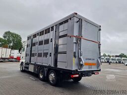 MAN TGX 26.480 6x2*4 - Menke 3 deck livestock 50.40...