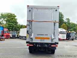 MAN TGX 26.480 6x2*4 - Menke 3 deck livestock 50.40...