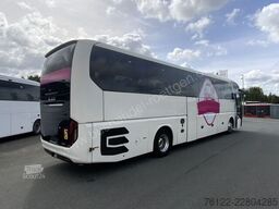 MAN R 10 Lions Coach C