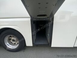 MAN R 10 Lions Coach C
