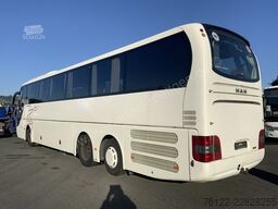 MAN R 09 Lions Coach C