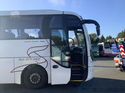 MAN R 09 Lions Coach C