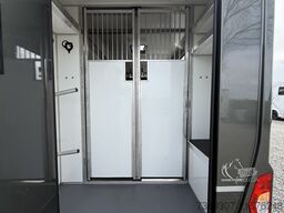 RENAULT MASTER | HORSETRUCK | STX | STALLION 5XL | 2023...