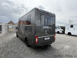 RENAULT MASTER | HORSETRUCK | STX | STALLION 5XL | 2023...