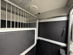 RENAULT MASTER | HORSETRUCK | STX | STALLION 5XL | 2023...