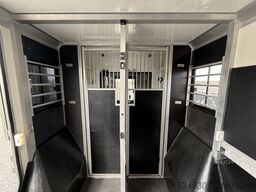 RENAULT MASTER | HORSETRUCK | STX | STALLION 5XL | 2023...