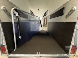 Böckmann Champion C Kutsche SK MSS Pferdeanhänger