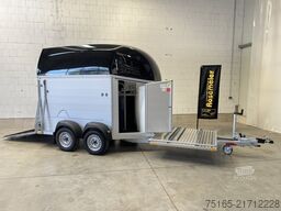 Böckmann Champion C Kutsche SK MSS Pferdeanhänger