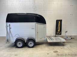 Böckmann Champion C Kutsche SK MSS Pferdeanhänger