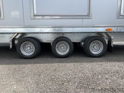 Rosemeier VE 6 Damen, 2 Herren, 5 Urinale Toilettenanhänger