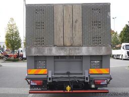 MAN TGS 35.360 E6 8×2 / Fassi F235A.2.22