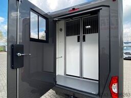 RENAULT Master STX 5 Sitzer Haras ex. Lang Automatik