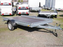 Repo cPEDX100 750kg 304x159x10m Plattformanhä