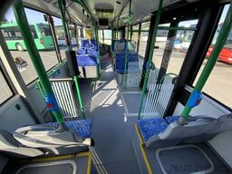 Solaris Urbino 12