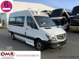 Mercedes-Benz 313 CDI Sprinter