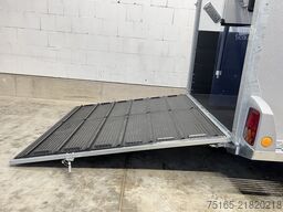 Böckmann Neo L SR WCF Pferdeanhänger