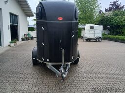 Blomert New Star