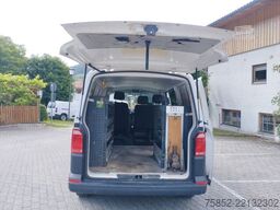 VW T 6 2,0 TDI Werkzeugregale Werkstatt Bot