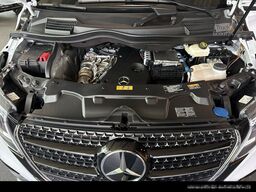 MERCEDES-BENZ Marco Polo 300 Distronic+Standh+AHK+Ambient. LED