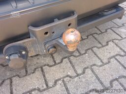 FORD Nugget 185PS Autm. Markise AHK ACC Kamera
