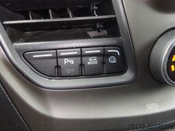 FORD Nugget Plus 150PS Autm. Kamera Navi AHK ACC