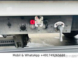  Böse BTA 7.3 Getränke Tandem |LBW|Bordwände