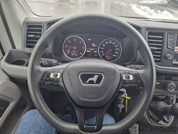 MAN TGE 3.180 4x2 Carrier Tiefkühler 3-Sitzer Klima