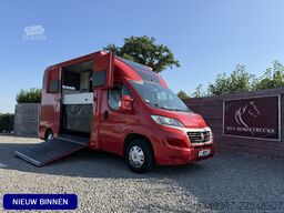 Fiat Ducato | HORSETRUCK | LR | STALLION 3XL | 2015 ...