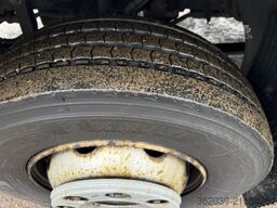 VOLVO FL 280 E6 KOFFER LBW ABS BLATT LUFT KUPLUNGSSCHA