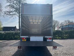 DAF CF 260 FA