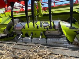 CLAAS Lexion 8800 TT Demo + Convio Flex