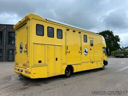 MAN L 2000 Pferdetransporter Wohnabteil Aufbau NEU