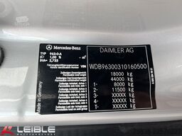 MERCEDES-BENZ Antos 1840*Frigo Koffer*Carrier1250*LBW-Bär*