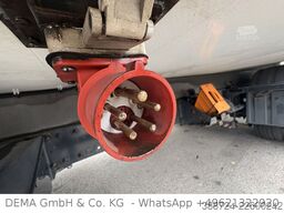 MAN TGL8150*Schalt*Carrier*LBW*2Verdampfer*Seitentür