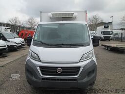 FIAT Ducato 130*2x Thermo-King Tiefkühler*Euro5*
