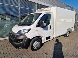 FIAT Ducato Kühlwagen V 300 MAX Fahr/ St
