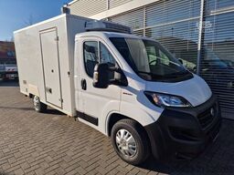 FIAT Ducato Kühlwagen V 300 MAX Fahr/ St