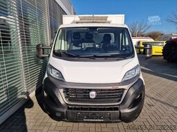 FIAT Ducato Kühlwagen V 300 MAX Fahr/ St