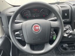 Fiat Ducato Weinsberg Carasuite 650MF, Baujahr 2020 | Schaltgetriebe | 5 Schlaf