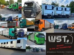 MERCEDES-BENZ Sprinter II Pritsche215 CDI
