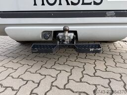 RENAULT Master STX 3 Sitzer  Haras / Hengste