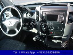 MERCEDES-BENZ Nr.38 Sprinter 313CDI 1.Hand / Kamera / Maxi