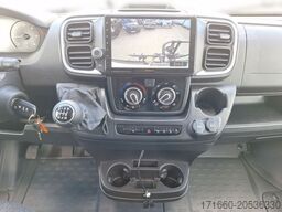 CARADO CV 600 MARKISE, OPTIK PAKET2, MJ 2025