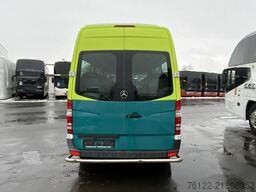 Mercedes-Benz 313 CDI Sprinter