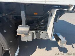 Ewers PRASQ 18 Schwenkwand SAF LBW BÄR 2.500kg