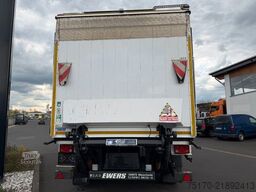 Ewers PRASQ18 Schwenkwand SAF LBW BÄR 2.500kg