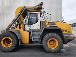 LIEBHERR L580 LOG 2+2 BAUJAHR 2010