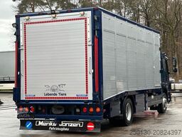 MERCEDES-BENZ Atego 1222L 4x2 BL 1.Stock Menke Viehwagen