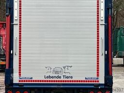 MERCEDES-BENZ Atego 1222L 4x2 BL 1.Stock Menke Viehwagen